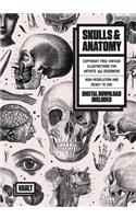 Skulls & Anatomy