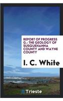 Report of Progress G.: The Geology of Susquehanna County and Wayne County