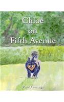 Chloe on Fifth Avenue