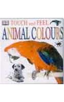 Touch & Feel : Animal Colours