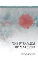 The Pyramids of Malpighi