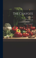 Chayote