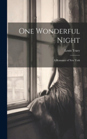 One Wonderful Night