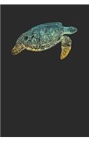 Turtle Colors: Turtles Notebook, Graph Paper (6 x 9 - 120 pages) Animal Themed Notebook for Daily Journal, Diary, and Gift