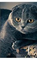 Cat Notebook