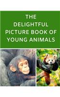 Delightful Picture Book Of Young Animals