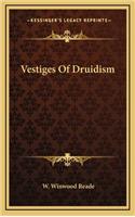 Vestiges of Druidism