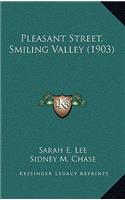 Pleasant Street, Smiling Valley (1903)