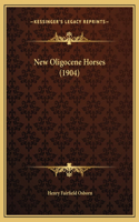 New Oligocene Horses (1904)