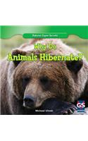 Why Do Animals Hibernate?