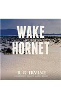 Wake of the Hornet
