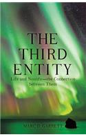 Third Entity