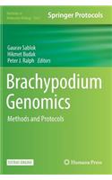 Brachypodium Genomics