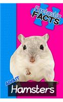 Fantastic Facts about Hamsters: Illustrated Fun Learning for Kids: Illustrated Fun Learning for Kids