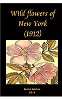 Wild flowers of New York (1912)