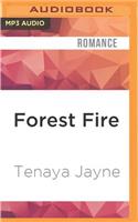 Forest Fire
