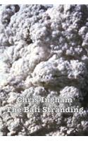 Bali Stranding