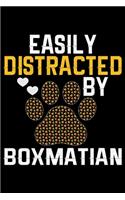 Easily Distracted by Boxmatian