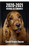 2020-2021 Agenda Settimanale Cocker Spaniel Inglese