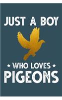 Just a boy who loves pigeons: Pigeon Notebook College Blank Lined 6 x 9 inch 110 pages -Notebook for Pigeon Lovers Journal for Writing- Dove Notebook for Girls-Gift for Kid Stude