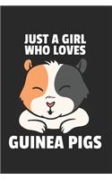 Meerschweinchen Notizbuch