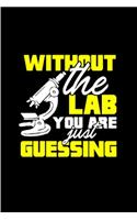 Without the lab you are just guessing