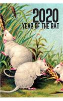2020 Year Of The Rat