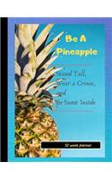 Be a Pineapple: Funny Gift planner / organizer / to do list / journal / 104 pages / checklist / notes