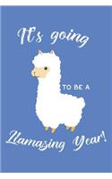 It's Going to Be a Llamazing Year!