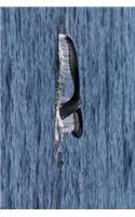 The Fluke of a Humpback Whale in Alaska Journal