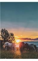 Horse Lover's Journal