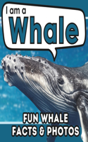 I am a Whale