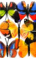 Journal: Bright Butterflies: Lined Journal, 120 Pages, 5.5 x 8.5, Butterflies, Soft Cover, Matte Finish(19 Butterfly Journals)