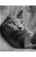 Gray Cat Lined Notebook Journal: 8.5 X 11 202 Lined Pages