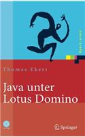 Java unter Lotus Domino: Know-How Für Die Anwendungsentwicklung
