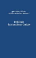 PATHOLOGIE DES M  NNLICHEN GENITALE
