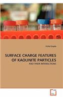 Surface Charge Features of Kaolinite Particles