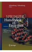 Class 2 Transferases VII