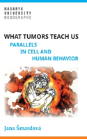 What tumors teach us