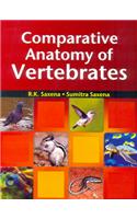 Comparative Anatomy Of Vertebrates