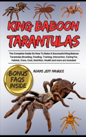 King Baboon Tarantulas