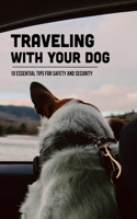 Traveling With Your Dog: 10 Essential Tips For Safety And Security: Where Can My Dog Stay While I'M On Vacation