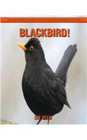 Blackbird! An Educational Children's Book about Blackbird with Fun Facts