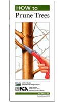 How to Prune Trees