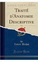 TraitÃ© d'Anatomie Descriptive, Vol. 2 (Classic Reprint)