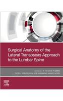 Surgical Anatomy of the Lateral Transpsoas Approach to the Lumbar Spine