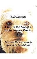 Day in the Life of a Yorkie Named Zander