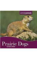 Prairie Dogs