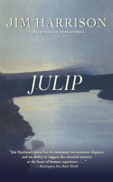 Julip: A Novel(English)