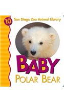 Baby Polar Bear